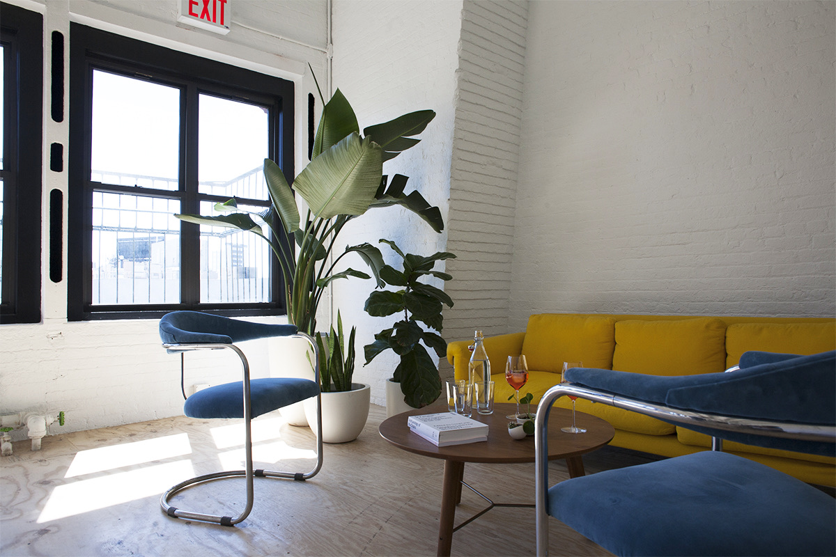 Sunlit member lounge with a mustard sofa, blue velvet chairs, and large potted plants beside black-framed loft windows